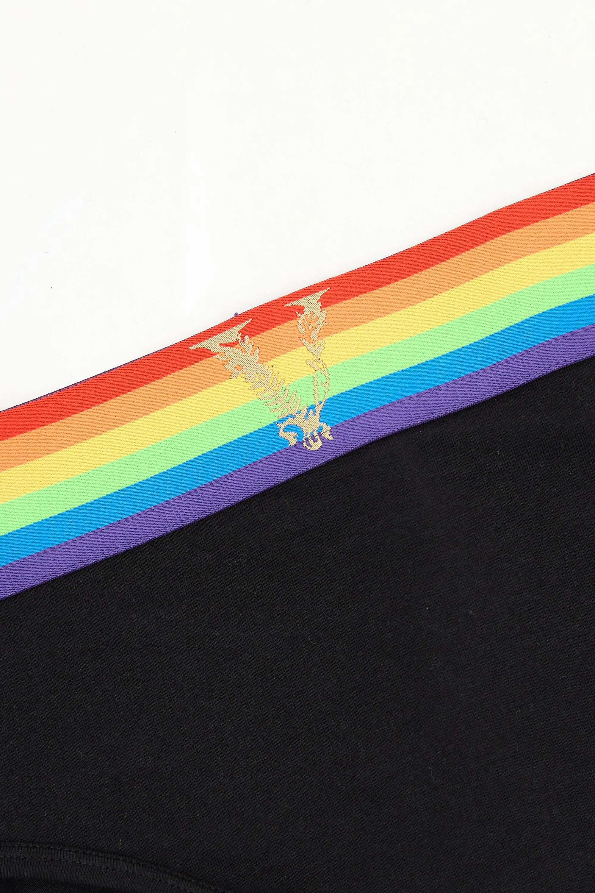 2020 Pride Underwear
