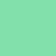 Action Sports Bra in Mint