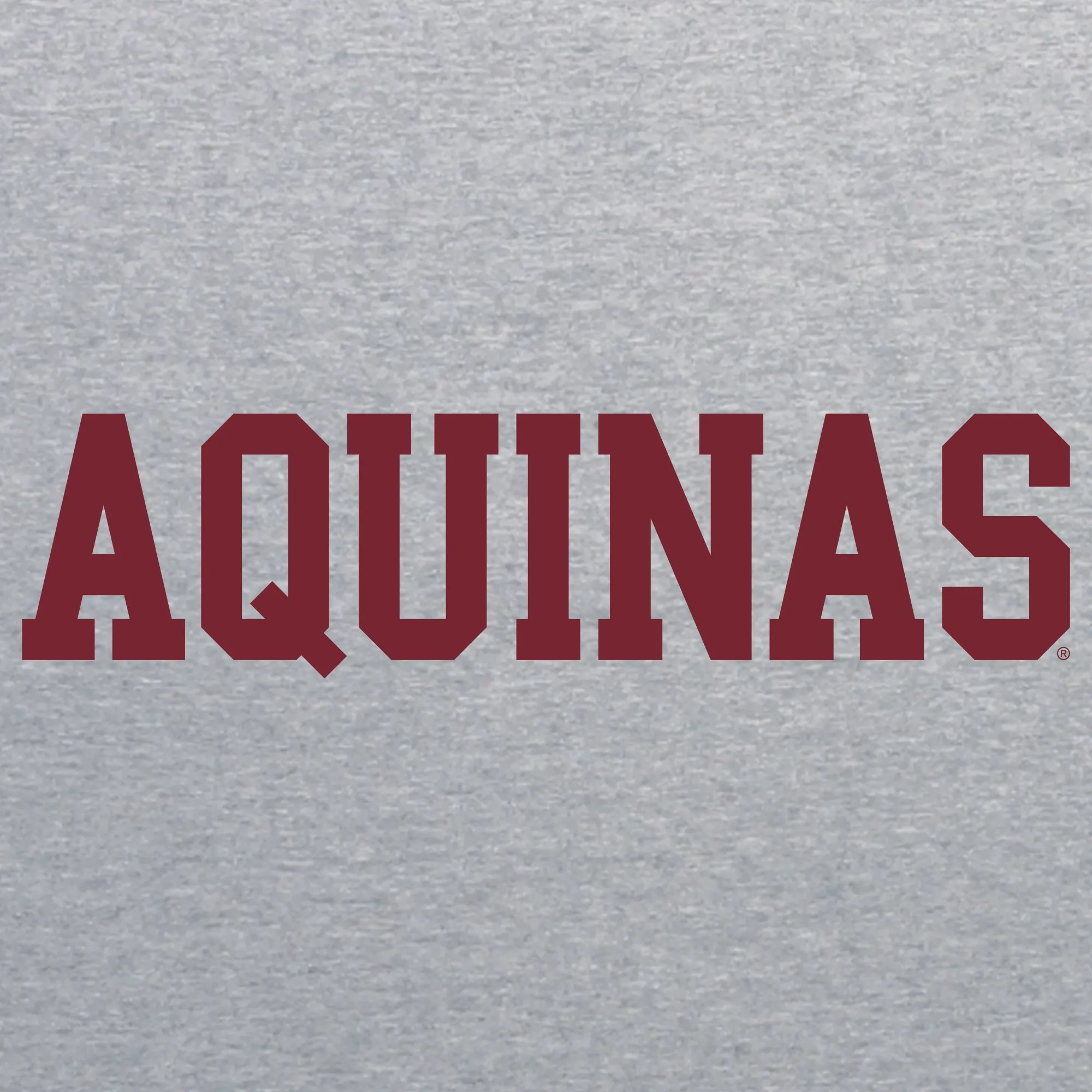 Aquinas Saints Basic Block Youth T Shirt - Sport Grey