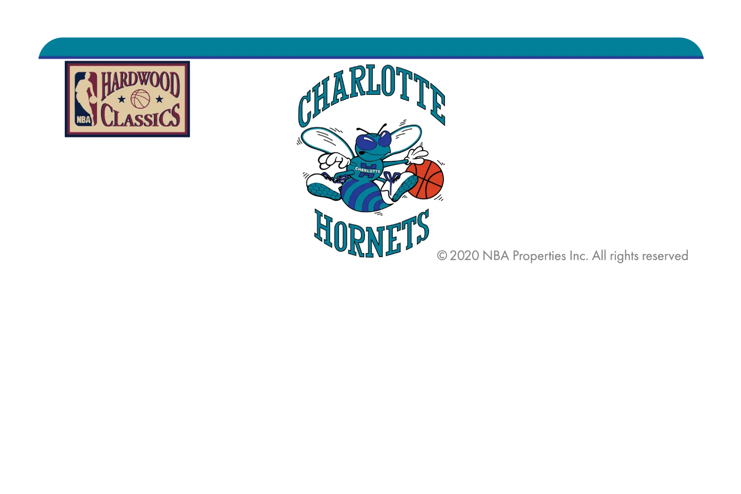 Charlotte Hornets: Home Warmups Hardwood Classics