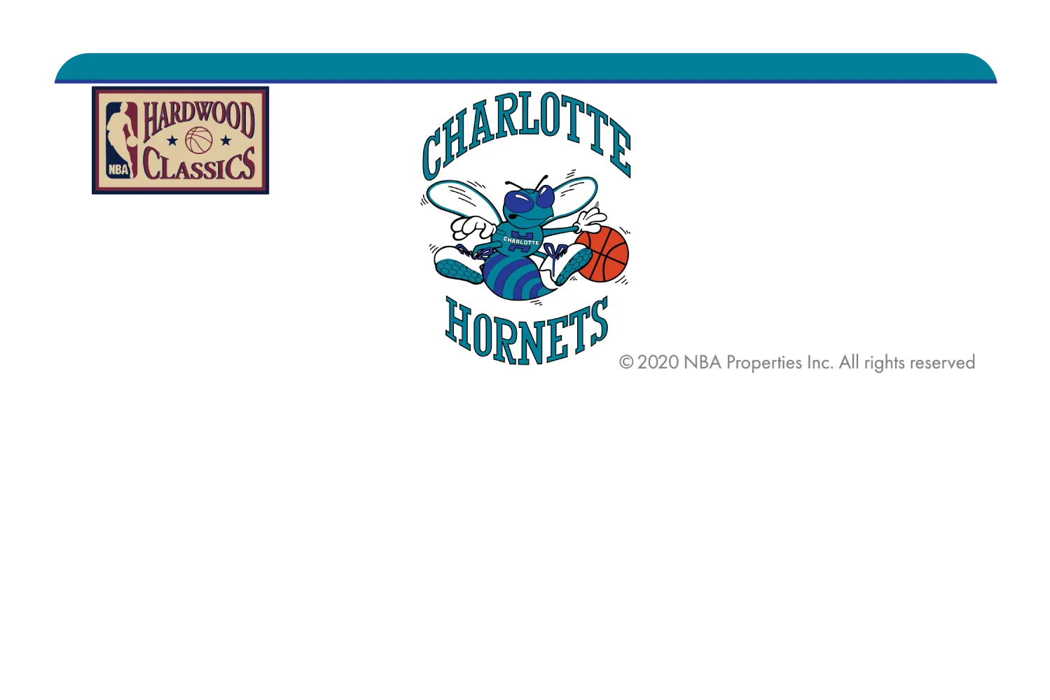 Charlotte Hornets: Home Warmups Hardwood Classics