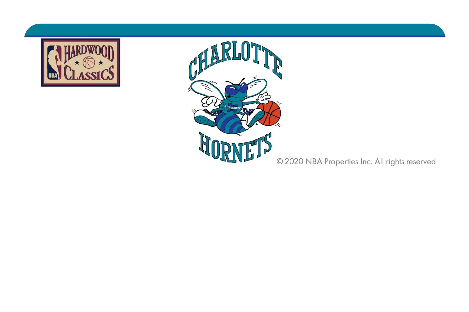 Charlotte Hornets: Home Warmups Hardwood Classics